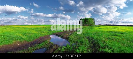 Chemin de terre au milieu du champ après la pluie. Ukraine Banque D'Images