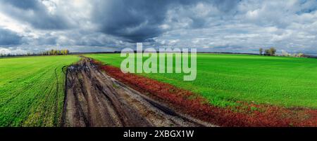 Chemin de terre au milieu du champ après la pluie. Ukraine Banque D'Images