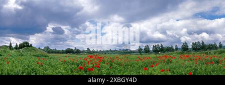 Belle vue sur le Pochaev Lavra sur un fond de nuages en été. Pochaev, région de Ternopil. Ukraine Banque D'Images