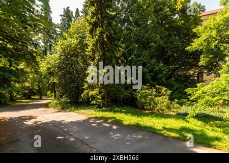 Jardin botanique de l'Université de Sopron, Sopron, Hongrie Banque D'Images