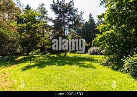 Jardin botanique de l'Université de Sopron, Sopron, Hongrie Banque D'Images