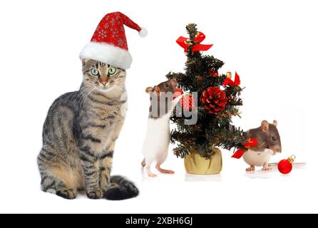 Noël Santa chat et rat sur un fond blanc Banque D'Images