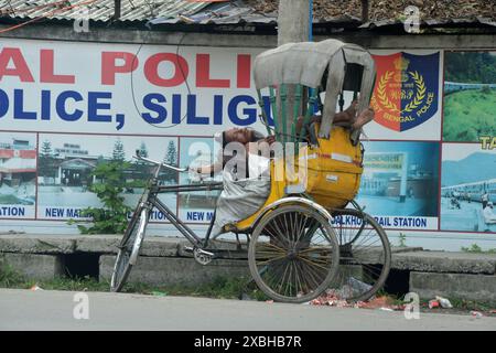 Siliguri, Bengale occidental, Inde. 12 juin 2024. Un tire-pousse indien repose à son pousse-pousse stationné sous une ombre d'arbre au bord de la route par une chaude journée d'été à Siliguri. La canicule indienne est la plus longue jamais frappée dans le pays. Certaines parties du nord de l'Inde ont été prises par une canicule depuis la mi-mai, avec des températures qui montent à plus de 45 degrés Celsius (crédit image : © Diptendu Dutta/ZUMA Press Wire) USAGE ÉDITORIAL SEULEMENT! Non destiné à UN USAGE commercial ! Banque D'Images