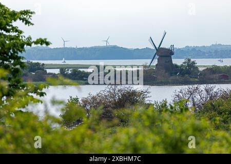 Moulin à vent Charlotte, mer Baltique, voilier, Gelting Birk, Gelting Bay, Nieby, Schleswig-Holstein, Allemagne Banque D'Images