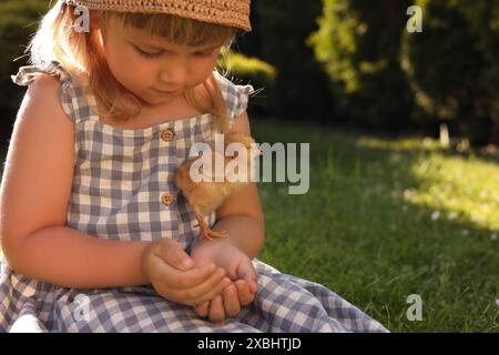 Petite fille avec poussin mignon sur l'herbe verte à l'extérieur. Bébé animal Banque D'Images