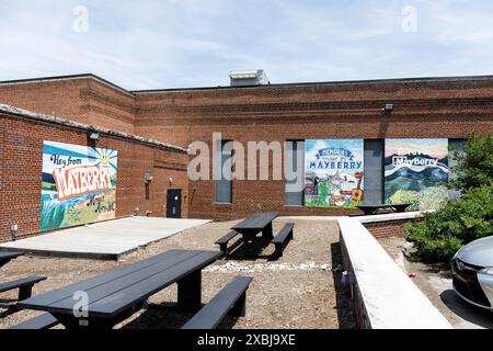 MT. Airy, NC, USA-1er juin 2024 : trois peintures murales peintes à la main documentant la ville fictive de Mayberry dans le populaire spectacle Andy Griffith et Mayberry R. Banque D'Images