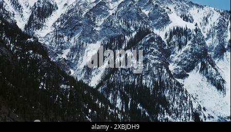 Hiver et neige tombant dans les Rocheuses du Colorado. Banque D'Images