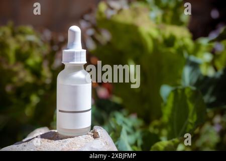 Maquette de bouteille compte-gouttes en verre avec étiquette vide blanche sur une roche avec des feuilles floues en arrière-plan. Mise au point sélective. Pipette cosmétique dans la nature Banque D'Images