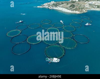 Lieu de pisciculture à Malte près de Mashaxlokk. Cercles d'élevage de thon avec bateau de pêche près des côtes de Malte. Banque D'Images