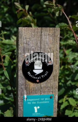 Panneau de chemin rond noir de la côte de l'Angleterre avec symbole de glands et un panneau de chemin amélioré Ramblers sur un poteau en bois sur un fond de feuilles vert flou Banque D'Images