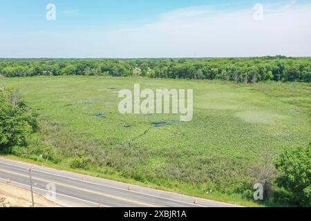 Une vue aérienne par drone capture un étang couvert d'algues à Edwardsburg, Michigan, mettant en valeur la beauté naturelle et l'équilibre écologique de la région. Banque D'Images