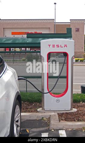 Borne de recharge pour véhicules électriques Tesla à Union City, Californie Banque D'Images
