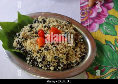 Typique fourmi avec farine de manioc, également connu sous le nom d'ica, repas indigène typique de certains endroits à l'intérieur du brésil Banque D'Images