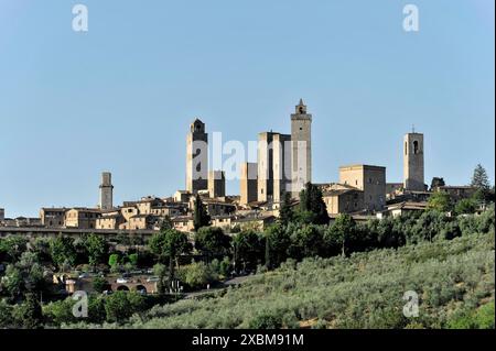 Tours des sexes, paysage, en automne, champs d'oliviers, vignes, Toscane, Italie, Europe, vue sur la ville historique avec impressionnant médiéval Banque D'Images