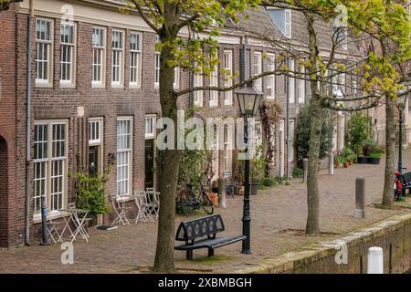 Rue historique avec des arbres, des bancs et des lanternes en face de maisons anciennes, Dordrecht, hollande, pays-bas Banque D'Images