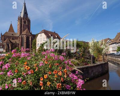 Ville historique fleurie au bord de la rivière, en arrière-plan une église et de vieux bâtiments sous un ciel bleu, Wissembourg, Alsace, France Banque D'Images