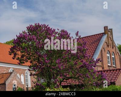 Un arbre avec des fleurs violettes se dresse devant des maisons en briques et une église, dans une zone rurale sous un ciel bleu, Greetsiel, Frise orientale, basse-Saxe Banque D'Images