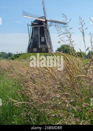 Moulin à vent au milieu des hautes herbes et des champs de céréales par une journée ensoleillée, lichtenvoorde, gueldre, pays-bas Banque D'Images