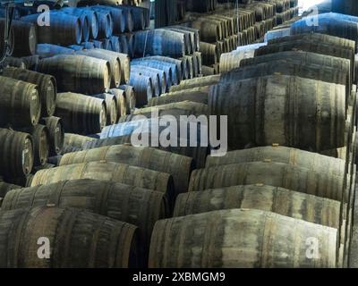 Rangées de grands tonneaux de vin en bois empilés dans un entrepôt sombre, Porto, Douro, Portugal Banque D'Images