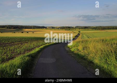 Une étroite ruelle de campagne serpente au loin lors d'une belle soirée colorée. Coburg, Allemagne Banque D'Images