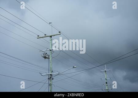 Hauts poteaux électriques en bois avec traverses en bois et en métal, transformateurs et lignes électriques pour l'alimentation électrique de banlieue à Brisbane, Australie Banque D'Images