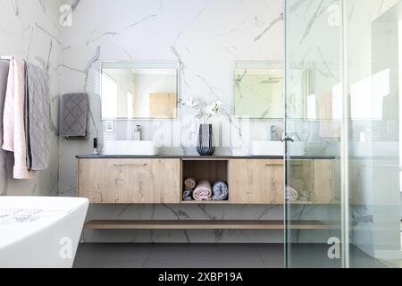 Salle de bains moderne avec armoires en bois clair et murs en marbre Banque D'Images