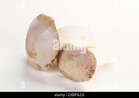 Deux champignons Eringi crus pour la cuisson Banque D'Images