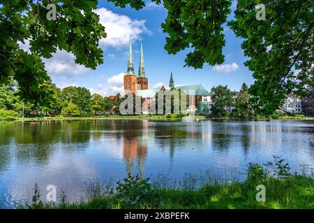 Mühlenteich und der Lübecker Dom, Hansestadt Lübeck, Schleswig-Holstein, Deutschland | Muhlenteich Mill Pond and Lübeck Cathedral, Hanseatic City of Banque D'Images