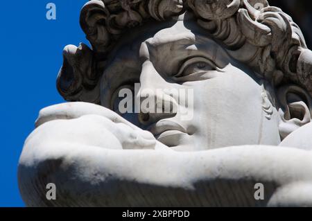 Italie, Truscany, Firenze , Piazza della Signoria Square, David, artiste Michelangelo Buonarroti Banque D'Images