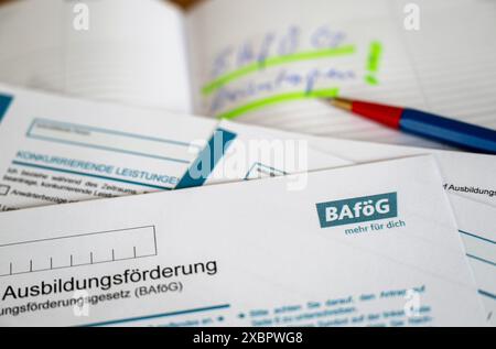 Leipzig, Allemagne. 13 juin 2024. BAföG les documents de demande sont sur une table. Les élèves et les étudiants dans le besoin recevront plus de BAföG de la nouvelle année scolaire et du prochain semestre d'hiver. Jeudi, le Bundestag a adopté une réforme de la coalition "feux de circulation" qui prévoit une augmentation des tarifs et de l'allocation forfaitaire de logement. Crédit : Hendrik Schmidt/dpa/Alamy Live News Banque D'Images