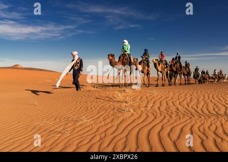 Merzouga, Maroc - 9 mars 2024 : guide berbère conduisant un groupe de touristes lors d'une randonnée de dromadaire dans le désert du Sahara au Maroc Banque D'Images