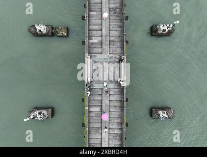 (240613) -- HANGZHOU, 13 juin 2024 (Xinhua) -- une photo prise par un drone aérien le 12 juin 2024 montre le pont de Gongchen sur le Grand canal à Hangzhou, dans la province du Zhejiang de l'est de la Chine. Avec une histoire de plus de 2 500 ans, le Grand canal, reliant Pékin et Hangzhou dans la province du Zhejiang de l'est de la Chine, a servi d'artère de transport importante dans la Chine ancienne. Le canal a été classé au patrimoine mondial de l'UNESCO en Chine en juin 2014. Ces dernières années, les autorités locales ont donné la priorité à la protection du site tout en promouvant continuellement la protection du patrimoine culturel, le Re Banque D'Images