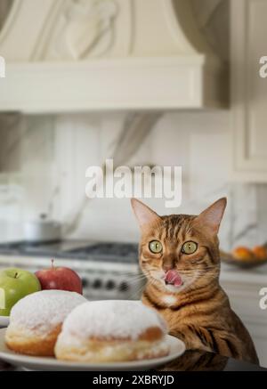 Un drôle de chat rouge lèche ses lèvres en regardant des beignets. Choisir entre des aliments malsains et sains. Banque D'Images