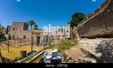 Photographie d'un enclos animal dans le vieux village rural Oman pendant la journée ensoleillée du printemps Banque D'Images