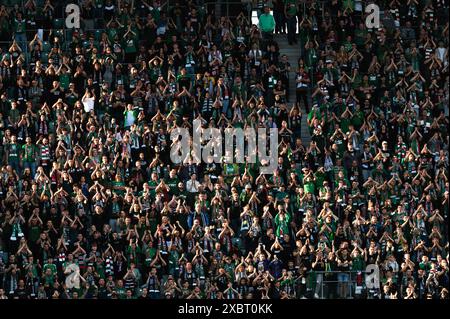 WROCLAW, POLOGNE - 27 AVRIL 2024 : match de football polonais PKO Ekstraklasa entre Slask Wrocla vs Ruch Chorzow. Partisans de Slask. Banque D'Images