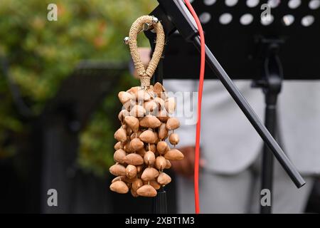 Kenari Shaker, un instrument de musique à percussion fabriqué à partir de noix de graines Kenari attachées à une dragonne Banque D'Images