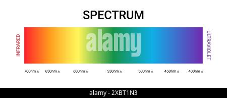 Illustration du vecteur gamma uv de longueur d'onde de couleur du spectre visible. Diagramme scientifique du spectre de la lumière visible. Illustration de Vecteur