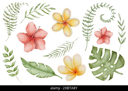 Ensemble de clip art aquarelle tropical avec feuilles de palmier, fleurs de Plumeria et d'hibiscus sur fond blanc isolé. Dessin de feuilles de monstera et de palmiers et de plumeria. Illustration d'une plante exotique de la jungle Banque D'Images