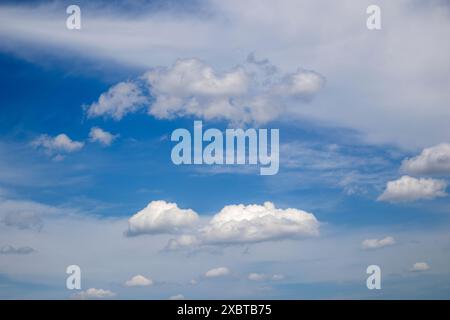 Des nuages de cumulus blancs se forment sur un ciel bleu vif Banque D'Images