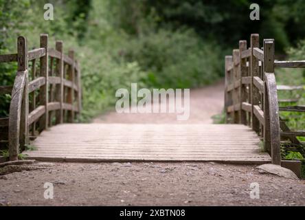 Pooh Bridge, Ashdown Forest, où Christopher Robin a joué Pooh Sticks avec Pooh Bear, dans le livre de A.A. Milne se déroulant dans 100 Acre (Aker) Woods. Banque D'Images