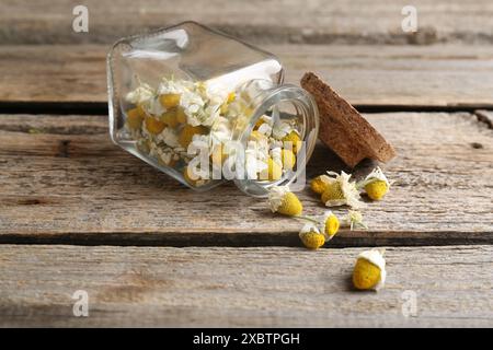 Fleurs de camomille dans un pot en verre sur une table en bois Banque D'Images