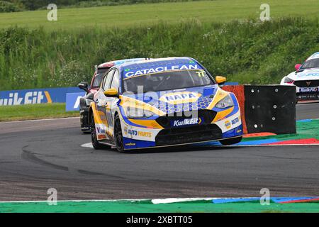 Sam Osborne, Ford Focus ST, NAPA Racing UK, BTCC, British Touring car Championship, les dix, onze et douze tours de la saison 2024, du Thruxt Banque D'Images