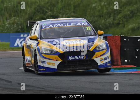 Sam Osborne, Ford Focus ST, NAPA Racing UK, BTCC, British Touring car Championship, les dix, onze et douze tours de la saison 2024, du Thruxt Banque D'Images