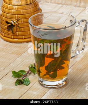 Verre à thé avec tisane à la menthe et une brindille de menthe fraîche en gros plan Banque D'Images