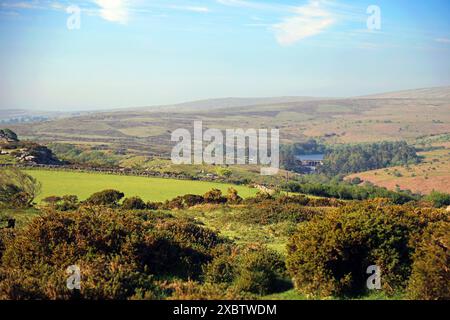 Vue sur le réservoir Venn sur Dartmoor, Devon Banque D'Images