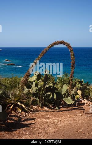 Sentier entre maquis méditerranéen et barbarie dans la réserve naturelle de Zingaro, près de San Vito Lo Capo. Banque D'Images