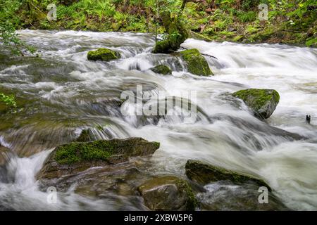 Paysage panoramique des Hautes Fagnes au printemps, Belgique, Europe Banque D'Images