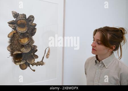 Photographie et art de classe mondiale sont réunis dans un fabuleux RHS Show à la galerie Saatchi. Ayant lieu du 14 juin au 7 juillet 2024 exposera l'art botanique exquis et la photographie mettant en vedette une riche variété de sujets allant des fleurs de dessert médicinales aux bananes ornementales et des images de moisissures forestières aux plantes de rue urbaines . Il présentera le travail de 23 artistes mondiaux de premier plan et 18 photographes ... Banque D'Images