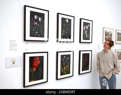 Photographie et art de classe mondiale sont réunis dans un fabuleux RHS Show à la galerie Saatchi. Ayant lieu du 14 juin au 7 juillet 2024 exposera l'art botanique exquis et la photographie mettant en vedette une riche variété de sujets allant des fleurs de dessert médicinales aux bananes ornementales et des images de moisissures forestières aux plantes de rue urbaines . Il présentera le travail de 23 artistes mondiaux de premier plan et 18 photographes ... Banque D'Images