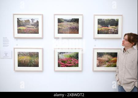 Photographie et art de classe mondiale sont réunis dans un fabuleux RHS Show à la galerie Saatchi. Ayant lieu du 14 juin au 7 juillet 2024 exposera l'art botanique exquis et la photographie mettant en vedette une riche variété de sujets allant des fleurs de dessert médicinales aux bananes ornementales et des images de moisissures forestières aux plantes de rue urbaines . Il présentera le travail de 23 artistes mondiaux de premier plan et 18 photographes ... Banque D'Images